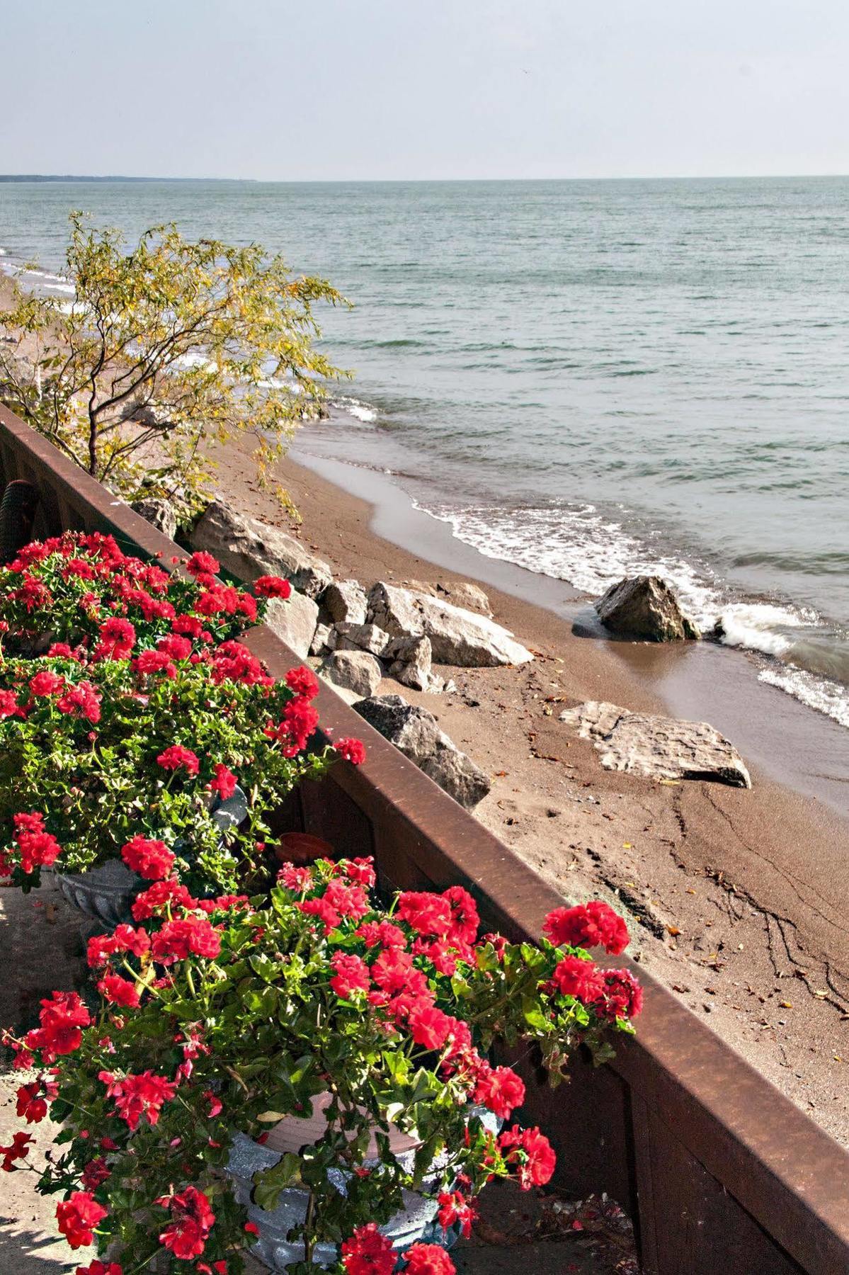 Point Pelee Lakeshore B&B Лемингтон Екстериор снимка